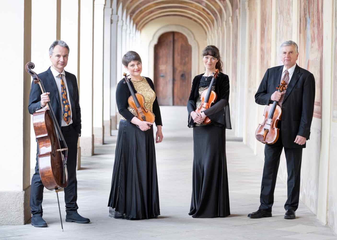Archet baroque pour violoncelle Arc Verona chez